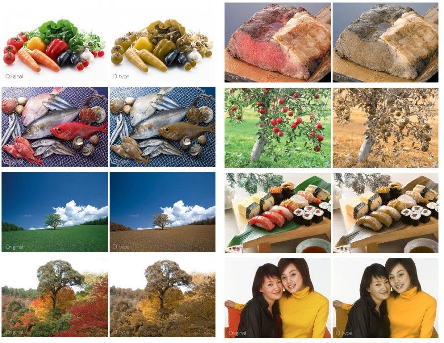 “你们眼中的平凡世界,是我从未见过的璀璨星河”